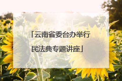 云南省委台办举行民法典专题讲座